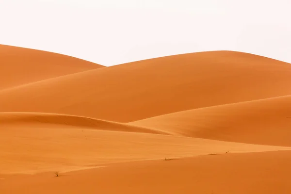 美しいラインと色とサハラの砂漠の日の出 メルズーガ モロッコ — ストック写真