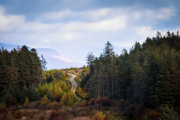 Herfstlandschap Highlands Schotland Verenigd Koninkrijk Prachtig — Stockfoto