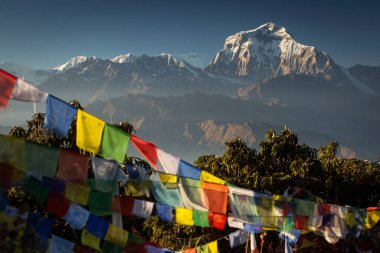 Himalaya Dağı, Nepal 'de günbatımında Dhaulagiri zirvesi olan Bhuddizm bayrakları.