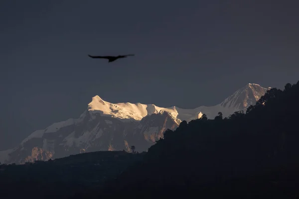 Aquile Che Volano Con Montagne Dell Himalaya Sullo Sfondo Nepal — Foto Stock