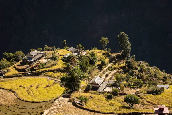 Krásný Dvůr Tradičního Domu Vesnice Ghandruk Během Trekking Himalájích Nepál — Stock fotografie
