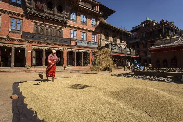 Bhaktapur Nepal November 2017 Vrouw Die Rijst Ruimt Bhaktapur Nepal — Stockfoto