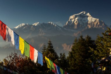 Himalaya Dağı, Nepal 'de günbatımında Dhaulagiri zirvesi olan Bhuddizm bayrakları.