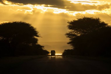 Tanzanya 'da günbatımında yol kenarında safari arabasının arkasında güzel ışıklar var.