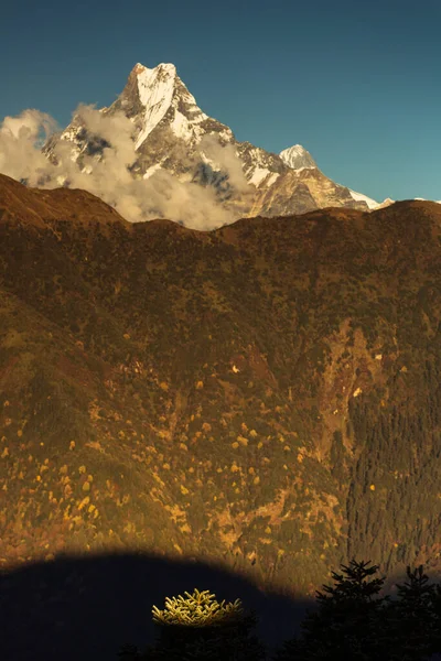 Machapuchare Tepesi Manzarası Poon Hill Den Balık Kuyruğu Himalaya Dağları — Stok fotoğraf