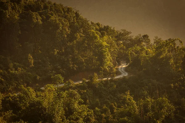 Beautiful Landscape Forest Trekking Himalaya Mountains Nepal — Stock Photo, Image