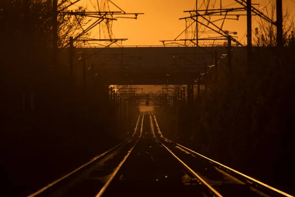 Linhas Ferroviárias Com Luz Bonita Pôr Sol Fundo — Fotografia de Stock