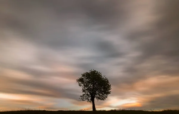 Μονό Δέντρο Εκπληκτικά Πολύχρωμα Και Κινούμενα Σύννεφα Στο Φόντο — Φωτογραφία Αρχείου