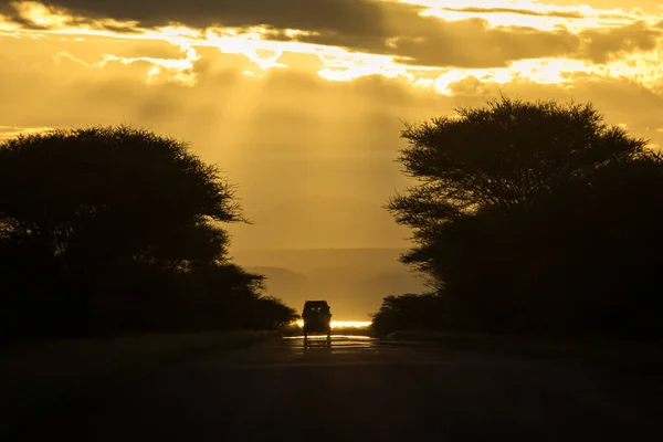 Safari Voiture Sur Une Route Pendant Coucher Soleil Tanzanie Avec — Photo