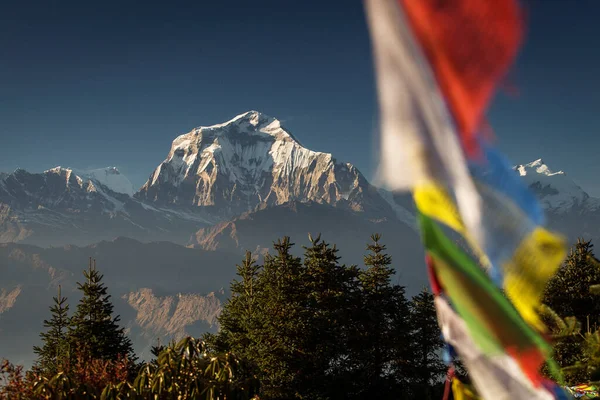 Bhuddism Flags Dhaulagiri Peak Background Sunset Himalaya Mountain Nepal Stock Photo