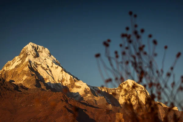 Veduta Annapurna Sud Tramonto Poon Hill Con Bandiere Buddiste Himalaya Foto Stock Royalty Free