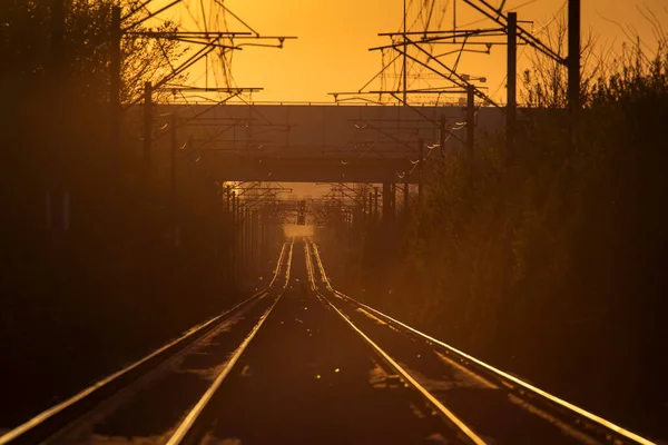 Linee Ferroviarie Con Bella Luce Tramonto Sullo Sfondo — Foto Stock