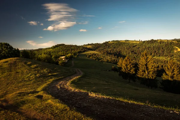 Hermoso Paisaje Verde Con Abetos Carretera Rural Comanesti Rumania — Foto de Stock