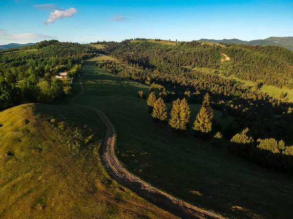 Krásná Zelená Krajina Jedlemi Venkovskou Cestou Comanesti Rumunsko — Stock fotografie