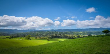 Yeşil tepelerde iyi günler