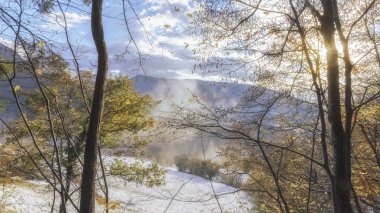 kar ve ağaç ve ışık güneş güzel manzara