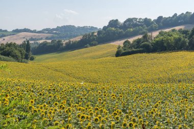 İtalya 'nın ortasında seyahat etmek