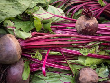 Şeker pancarı Market