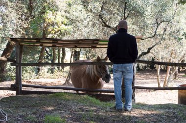 Toskana bahar seyahat