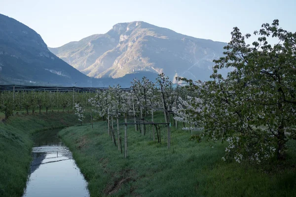 Rovereto Valle Vallagarina —  Fotos de Stock