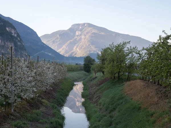 Κοιλάδα Rovereto Και Vallagarina — Φωτογραφία Αρχείου