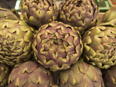 sebze sağlıklı gıda organik ve yeşil