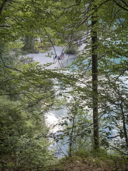 Juli 2017 Tovel Alpin See Naturpark Adamello Brenta Trentino Land — Stockfoto