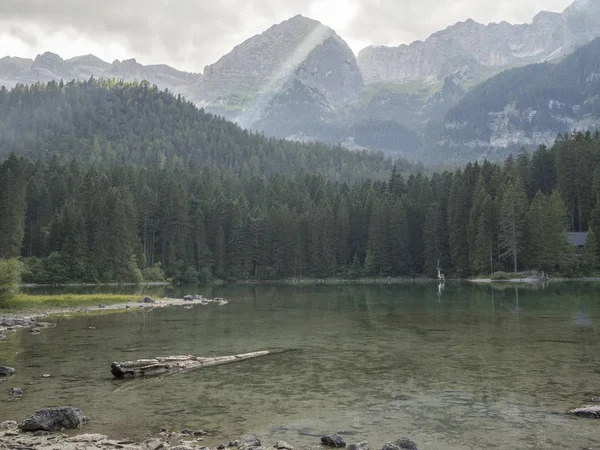 Juli 2017 Tovel Alpin See Naturpark Adamello Brenta Trentino Land — Stockfoto