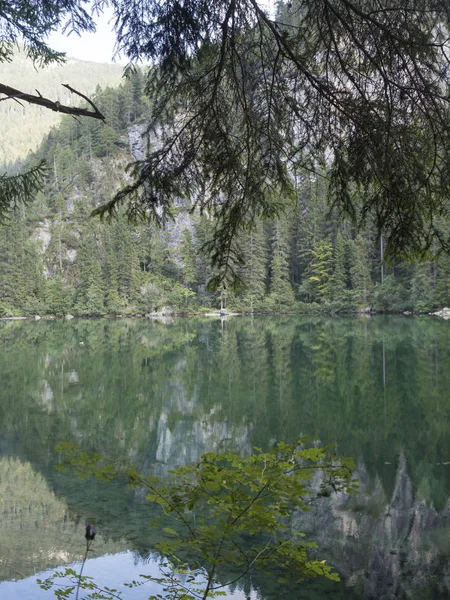 July 2017 Tovel Alpin Lake Adamello Brenta Natural Park Trentino — Stock Photo, Image
