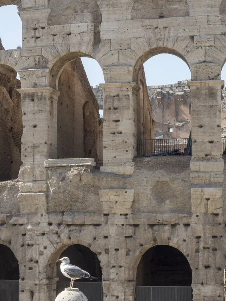 Április 2018 Ban Colosseum Róma Olaszország Sok Turistát — Stock Fotó