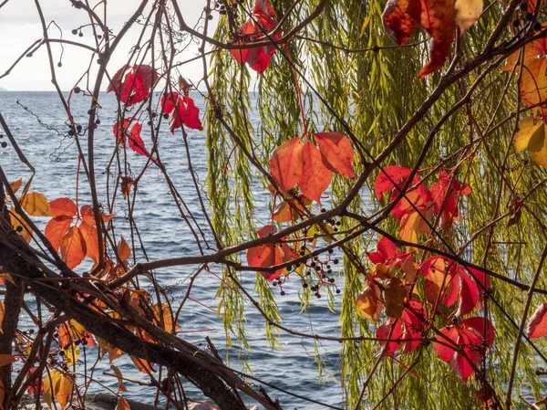 Week End Garda Lake Autumn Season Cold Sunny Beautiful — Stock Photo, Image