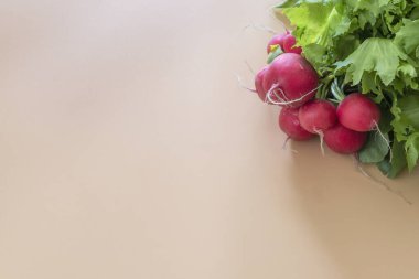 Turuncu arka plandaki turplar organik gıda.