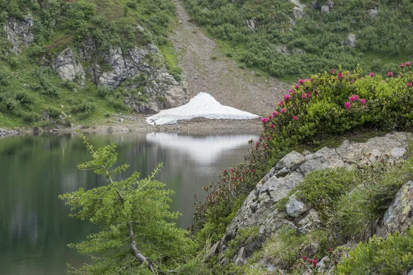 Passeio Trekking Trentino Direção Lago Erdemolo — Fotografia de Stock