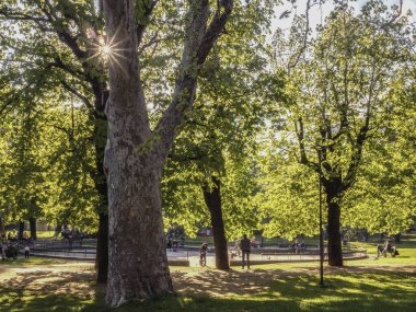 6 Nisan 2017. Bettini Yolu, Rovereto, Trentino, İtalya 'daki Berlasca Bahçesi adlı gezici parkta bahar zamanı insanlar buluşup sohbet eder ve dinlenir.