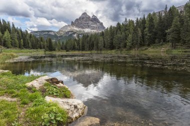 Trentino 'da dolomitler ve gölde bir ördek sıçraması.