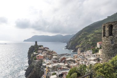 Balkon bahçeleri, şehir evindeki taze ve organik sebzeler bahçeleri.