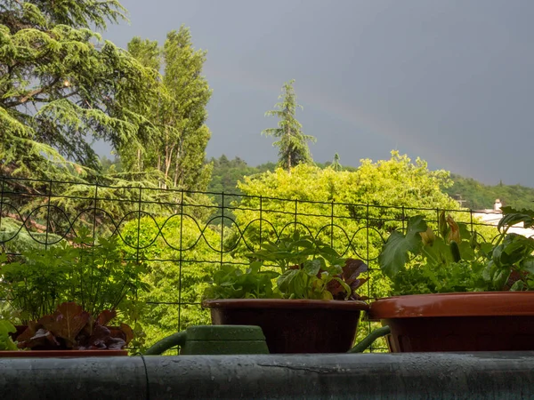 Regenboog Mijn Balkon Lente Tijd Bomen Groen Regen Rechtenvrije Stockafbeeldingen