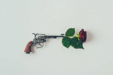 beyaz izole silah varil kırmızı gül üst görünümü, sevgililer günü kavramı