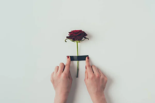 Bijgesneden Beeld Van Vrouw Zetten Isolerende Tape Rose Wit Valentijnsdag — Stockfoto