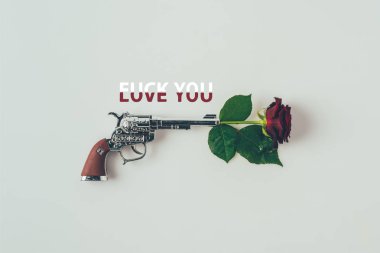 Top view of red rose in gun barrel with words love you fuck you isolated on white