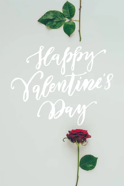 Вид Сверху Части Красной Розы Текстом Happy Valentines Day Изолированный — стоковое фото