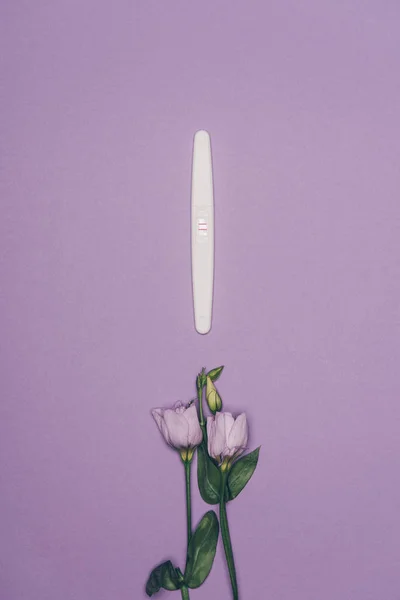 Top View Arranged Pregnancy Test Flowers Green Leaves Isolated Purple — Stock Photo, Image