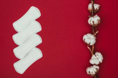 top view of arranged menstrual pads and cotton twig isolated on red clipart