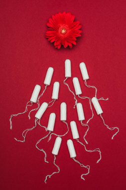 Düzenlenmiş adet tampon ve izole kırmızı çiçek Üstten Görünüm