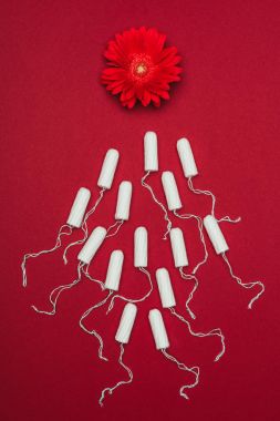 top view of arranged menstrual tampons and flower isolated on red clipart