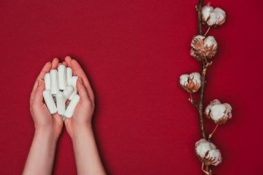 kırpılan çekim üzerinde izole kırmızı ile tampon el ve pamuk dal yakınındaki tutan kadın