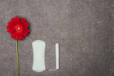 top view of arrangement of red flower, menstrual pad and tampon on grey surface clipart