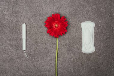 gri yüzeyi kırmızı çiçek, adet yastık ve tampon düzenlemenin Üstten Görünüm