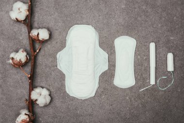 gri yüzeyi pamuk dal, adet yastıkları ve tampon düzenlemenin Üstten Görünüm