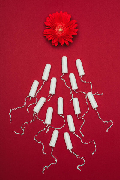 top view of arranged menstrual tampons and flower isolated on red